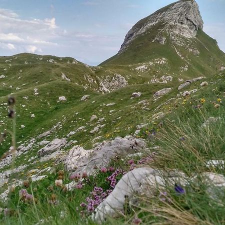 Apartments Durmitor Žabljak Esterno foto