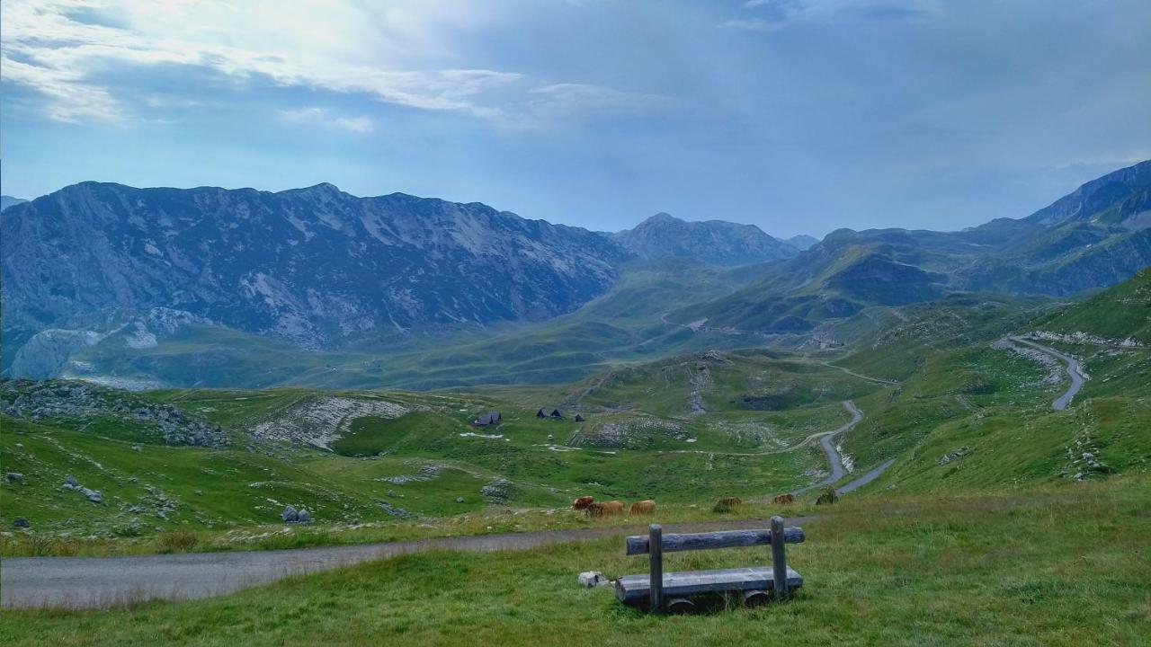 Apartments Durmitor Žabljak Esterno foto